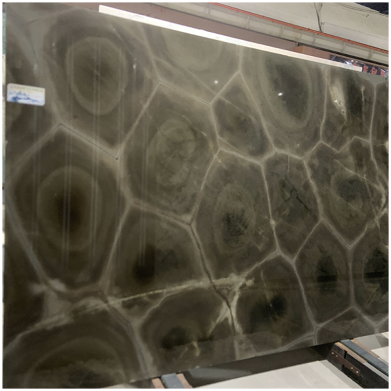 Tartaruga Exotic Quartzite Slab