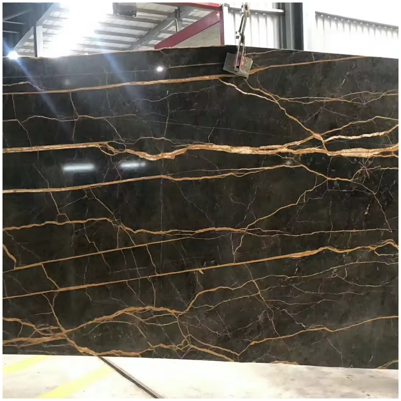 Noir Saint Laurent Marble Polished Slab