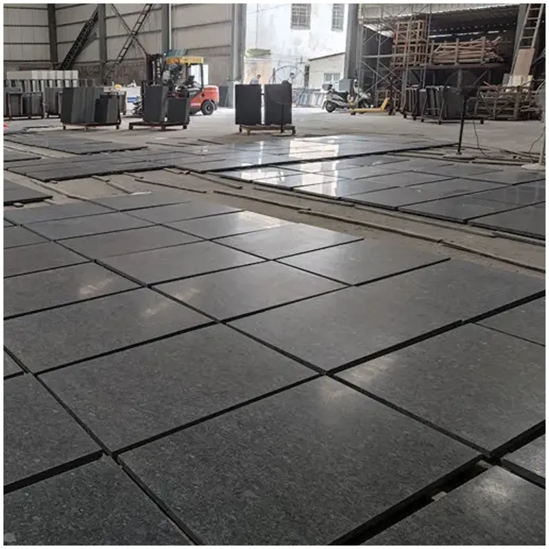 Leathered Angola Black Granite Tiles